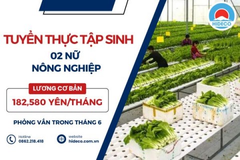 H1544 TUYỂN 2 NỮ TTS THU HOẠCH VÀ ĐÓNG GÓI RAU, HẸ