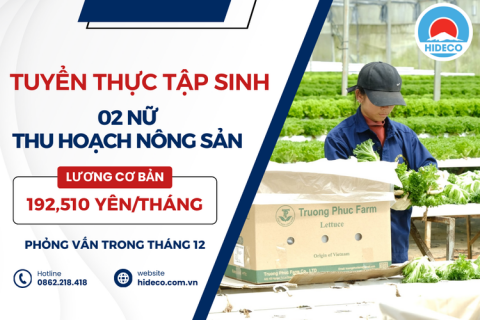 H1314 TUYỂN 03 NỮ THỰC TẬP SINH THU HOẠCH NÔNG SẢN
