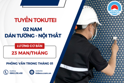 D3627 TUYỂN 02 NAM TOKUTEI DÁN GIẤY DÁN TƯỜNG - SÀN GỖ