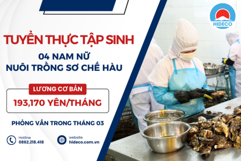 H1437 TUYỂN 04 NAM NỮ THỰC TẬP SINH NUÔI TRỒNG SƠ CHẾ HÀU