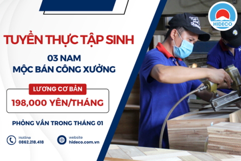 H1354 TUYỂN 03 NAM THỰC TẬP SINH MỘC BÁN CÔNG XƯỞNG