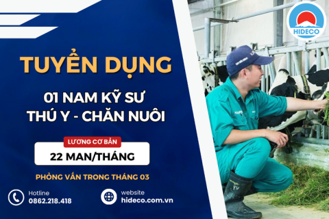 HD5290 TUYỂN 01 NAM KỸ SƯ CHĂN NUÔI - THÚ Y