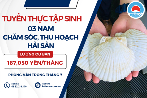 H1638 TUYỂN 3 NAM TTS CHĂM SÓC THU HOẠCH HẢI SẢN
