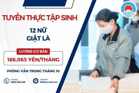 H1772 TUYỂN 12 NỮ TTS GIẶT LÀ