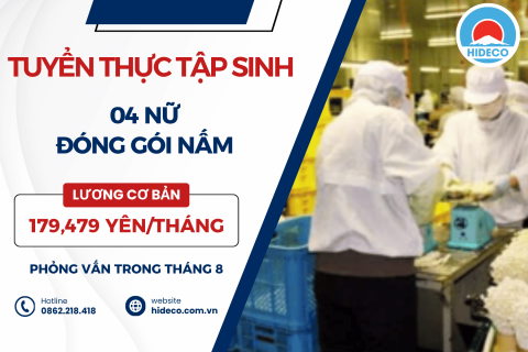 H1679 TUYỂN 04 NỮ TTS ĐÓNG GÓI NẤM