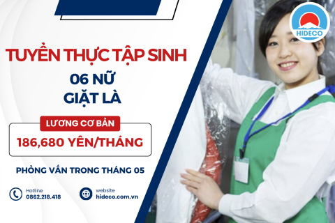 H1517 TUYỂN 6 NỮ TTS GIẶT LÀ