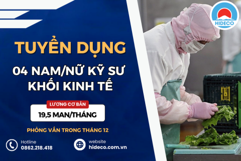 HD4173 TUYỂN 04 NAM NỮ KỸ SƯ KHỐI NGÀNH KINH TẾ LÀM VIỆC TẠI NHẬT