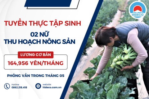 H1106 TUYỂN 02 NỮ THỰC TẬP SINH THU HOẠCH NÔNG SẢN