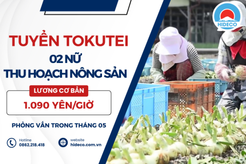 D3573 TUYỂN 02 NỮ TOKUTEI THU HOẠCH NÔNG SẢN