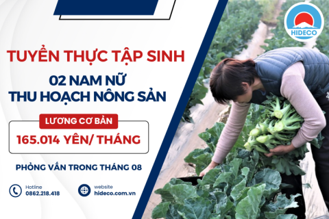H1178 TUYỂN 02 NỮ THỰC TẬP SINH THU HOẠCH NÔNG SẢN