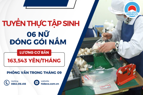 H1200 TUYỂN 05 NỮ THỰC TẬP SINH THU HOẠCH - ĐÓNG GÓI NẤM, MỘC NHĨ