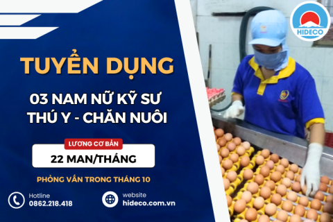 HD4989 TUYỂN 03 NAM NỮ KỸ SƯ CHĂN NUÔI - THÚ Y
