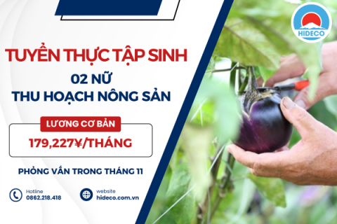 H1261 TUYỂN 02 NỮ THỰC TẬP SINH THU HOẠCH NÔNG SẢN