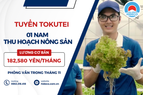 H1269 TUYỂN 01 NAM THỰC TẬP SINH THU HOẠCH NÔNG SẢN