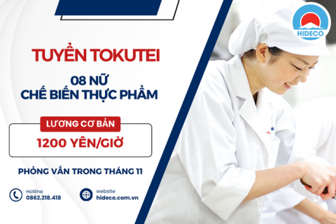 D3616 TUYỂN 08 NỮ TOKUTEI CHẾ BIẾN CƠM HỘP