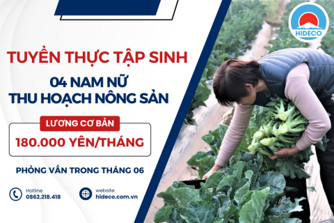 H1133 TUYỂN 04 NAM NỮ THỰC TẬP SINH THU HOẠCH NÔNG SẢN