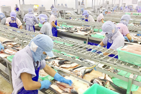 TUYỂN 4 NAM NGÀNH NUÔI TRỒNG, CHẾ BIẾN THỦY SẢN, THỰC PHẨM