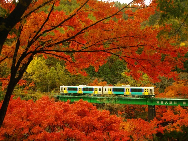 Ở Saitama, bạn có thể di chuyển đến bất kỳ tỉnh/thành nào của Nhật Bản một cách dễ dàng và rất tiện lợi. Photo on danviet